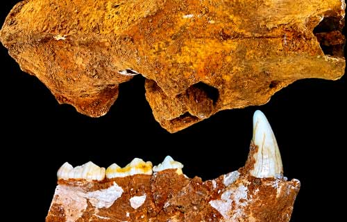Caves-Hidden-Treasures-Tour-halcyon-collection-puglia
