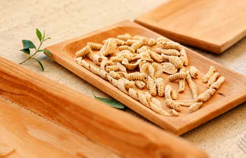 Orecchiette-workshop-with-Dora-experience-halcyon-collection-puglia-3